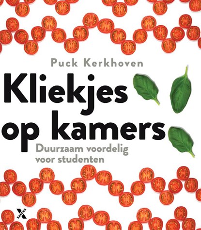 Kliekjes op kamers, Puck Kerkhoven - Paperback - 9789401602679