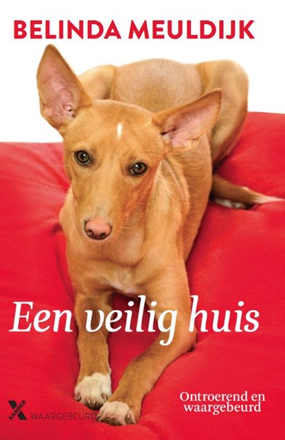 Een veilig huis, Belinda Meuldijk - Paperback - 9789401604840