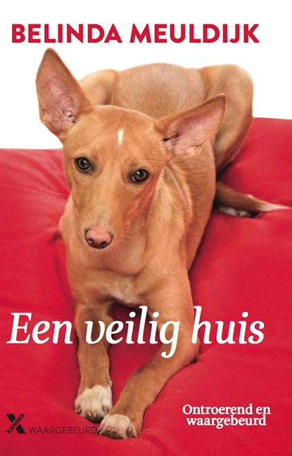 Een veilig huis, Belinda Meuldijk - Ebook - 9789401604857