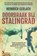 Doorbraak bij Stalingrad, Heinrich Gerlach - Paperback - 9789401606318