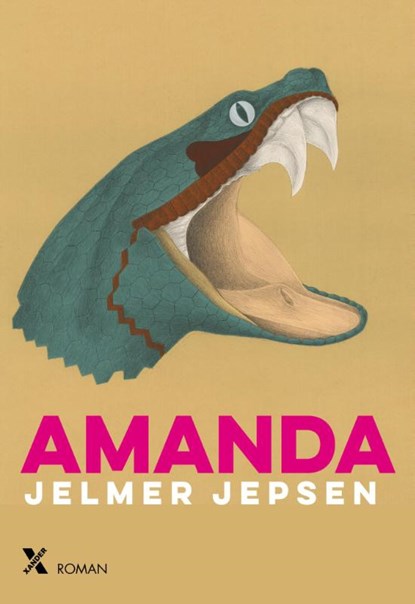 Amanda, Jelmer Jepsen - Paperback - 9789401606356