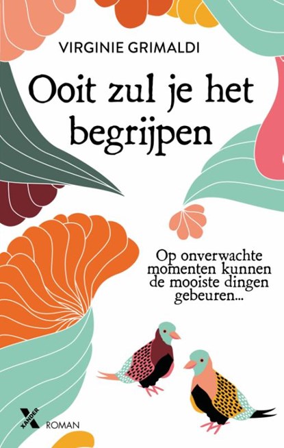 Ooit zul je het begrijpen, Virginie Grimaldi - Paperback - 9789401610803