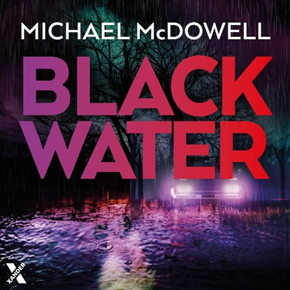 Regen, Michael McDowell - Luisterboek MP3 - 9789401621830