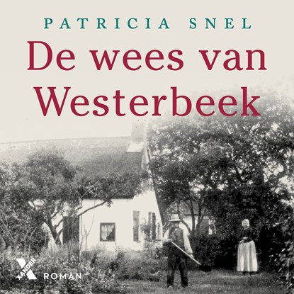 De wees van Westerbeek, Patricia Snel - Luisterboek MP3 - 9789401627603