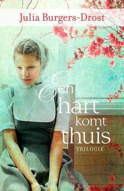 Een hart komt thuis, Julia Burgers-Drost - Paperback - 9789401904834