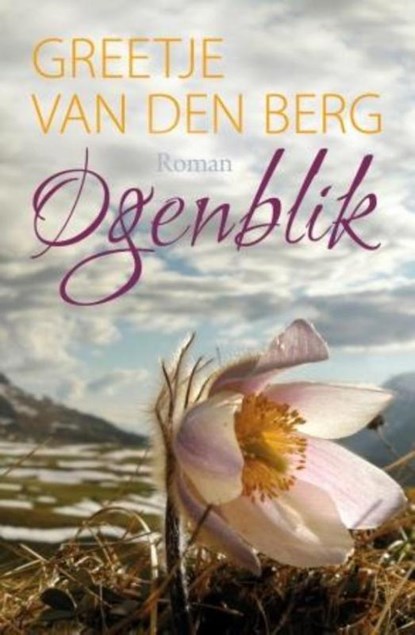 Ogenblik, Greetje van den Berg - Gebonden - 9789401906449