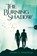 The Burning Shadow, Jennifer L. Armentrout - Paperback - 9789401915878