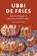 Ubbi de Fries, Luit van der Tuuk - Paperback - 9789401921107
