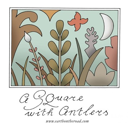 A Square with Antlers, Pepijn de Jonge - Paperback - 9789402101294