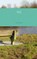Vrij, J. Dillema - Paperback - 9789402101560