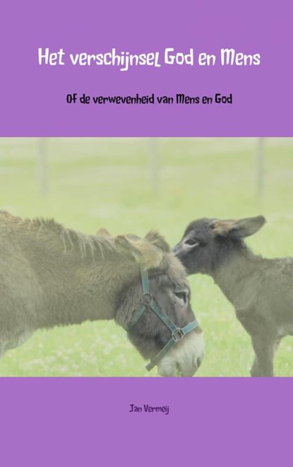 Het verschijnsel God en mens, Jan Vermeij - Paperback - 9789402103076