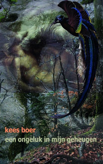 Een ongeluk in mijn geheugen, Kees Boer - Paperback - 9789402104042