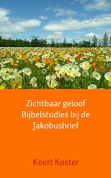 Zichtbaar geloof Bijbelstudies bij de Jakobusbrief - Koert Koster - 9789402109481