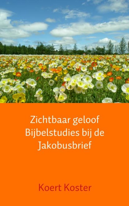 Zichtbaar geloof Bijbelstudies bij de Jakobusbrief, Koert Koster - Paperback - 9789402109481