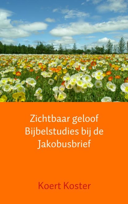 Zichtbaar geloof Bijbelstudies bij de Jakobusbrief, Koert Koster - Paperback - 9789402109481