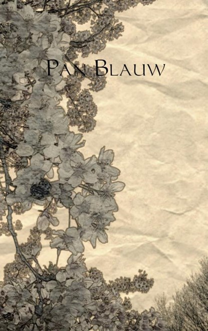 Pan Blauw, S.R. Post - Paperback - 9789402111545