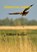 Almeerse zomer, Gilbert Keyzer - Paperback - 9789402113082