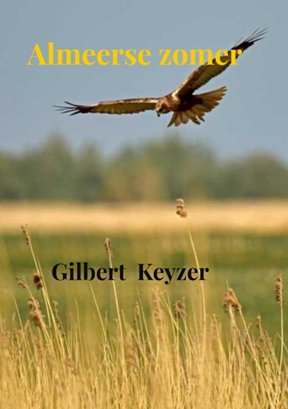 Almeerse zomer, Gilbert Keyzer - Paperback - 9789402113082