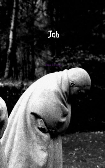 Job, Henk Fonteyn - Paperback - 9789402116830