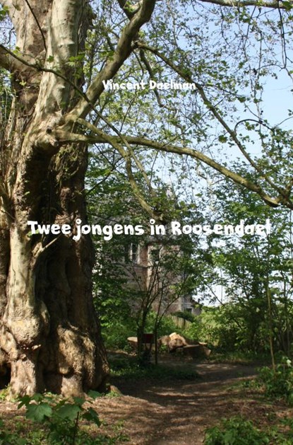 Twee jongens in Roosendael, Vincent Daelman - Paperback - 9789402120875