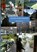 Verhalen uit Den Haag Zuid, Ineke Bosman - Paperback - 9789402122121