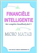 Financiële Intelligentie | MiCRO Matab | 