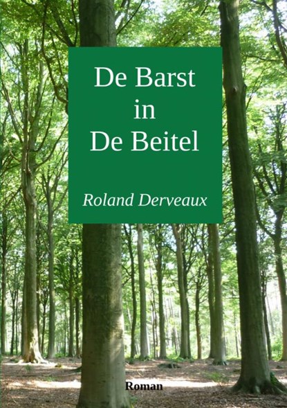De Barst in De Beitel, Roland Derveaux - Paperback - 9789402127713