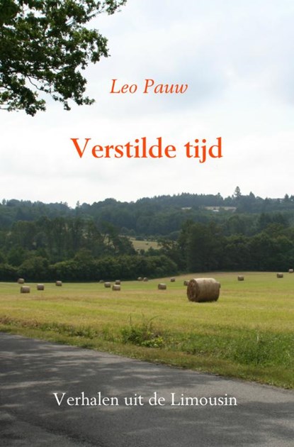 Verstilde tijd, Leo Pauw - Paperback - 9789402129007