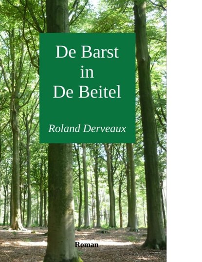 De barst in de beitel, Roland Derveaux - Ebook - 9789402129953