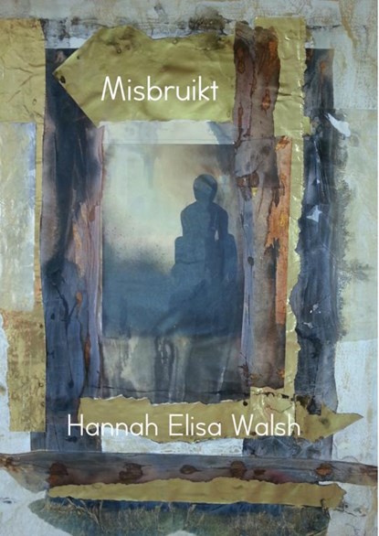 Misbruikt, Hannah Elisa Walsh - Paperback - 9789402132588