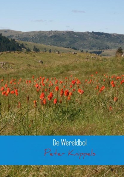 De wereldbol, Peter Knippels - Gebonden - 9789402132816