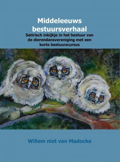 Middeleeuws bestuursverhaal, Willem niet van Madocke - Ebook - 9789402139815