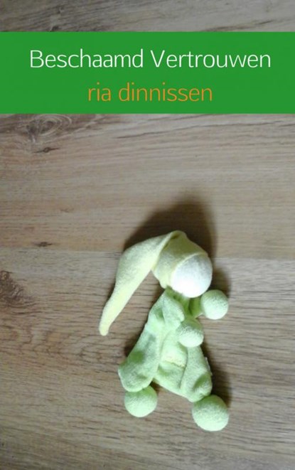 Beschaamd vertrouwen, Ria Dinnissen - Paperback - 9789402139914