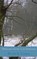 Dodelijke winter in de Ardennen, Peter S. Visser - Paperback - 9789402140781