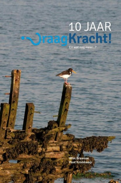 10 jaar vraagkracht, Wim Braamse ; Paut Kromkamp ; Susan van der Beek - Paperback - 9789402140798