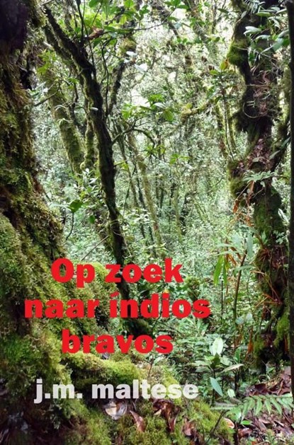 Op zoek naar indios bravos, J.M. Maltese - Ebook - 9789402148428