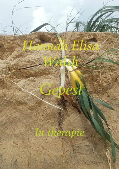 Gepest, Hannah Elisa Walsh - Paperback - 9789402148534