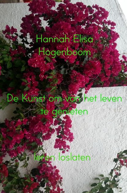 De kunst om van het leven te genieten, Hannah Elisa Hogenboom - Paperback - 9789402148985