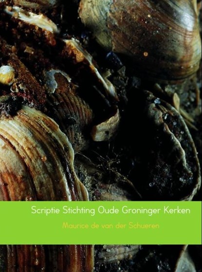 Scriptie Stichting Oude Groninger Kerken, Maurice de van der Schueren - Ebook - 9789402149241