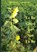 To be good or not to be, Richard Livingstone - Paperback - 9789402149722