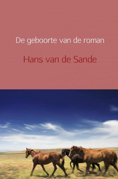 De geboorte van de roman, Hans van de Sande - Paperback - 9789402152708