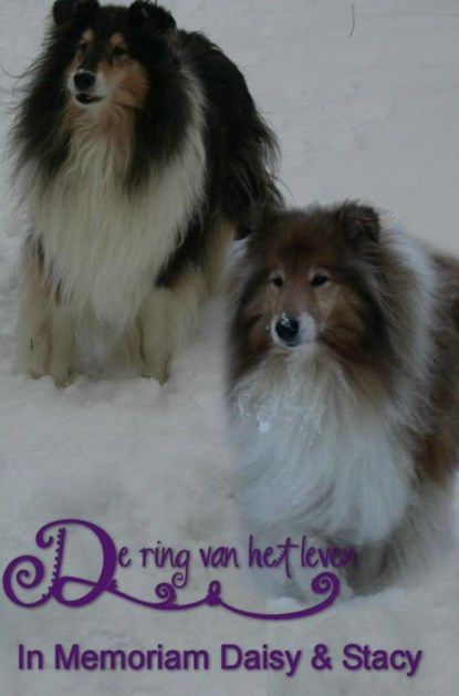 De ring van het leven, Nelly van Dijk - Paperback - 9789402156409