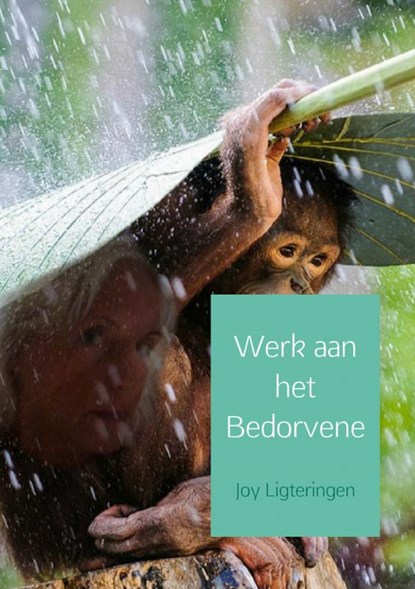 Werk aan het bedorvene, Joy Ligteringen - Paperback - 9789402156720