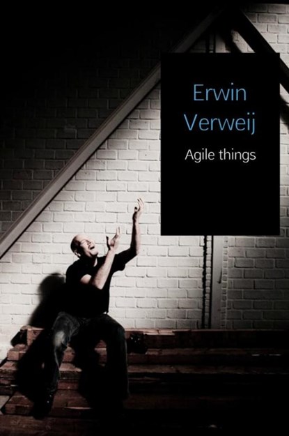 Agile things, Erwin Verweij - Gebonden - 9789402160079