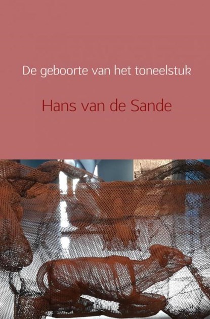 De geboorte van het toneelstuk, Hans van de Sande - Paperback - 9789402161601