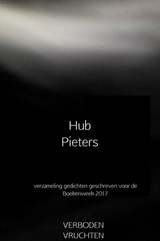 Verboden vruchten - Hub Pieters - 9789402166545