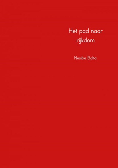 Het pad naar rijkdom, Nesibe Balta - Paperback - 9789402171341