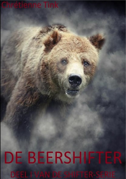 De beershifter, Chretienne Tink - Paperback - 9789402172331