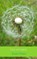 Hoezo vermoeiend..., Karin Peters - Paperback - 9789402172447