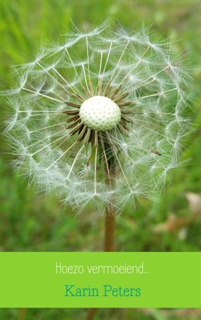 Hoezo vermoeiend..., Karin Peters - Paperback - 9789402172447